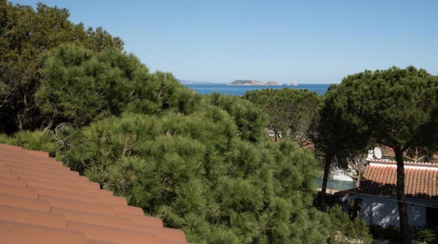 Apartaments Sa Guilla パルス エクステリア 写真